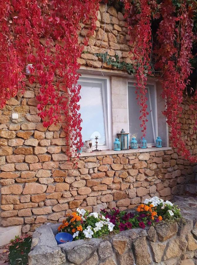 Best View Small House Free Parking Self Check-In Budapeste Exterior foto